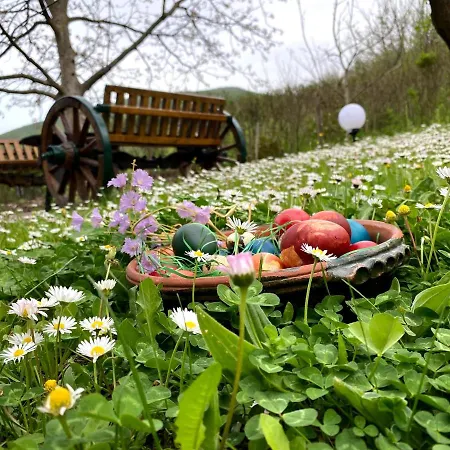 Ozrenska Basta Konukevi Soko Banja